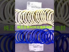 High Efficiency Center Swivel Rotary Seal Kit from China Original Nok
